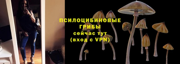 амфетамин Богданович