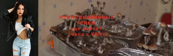 твердый Богородицк
