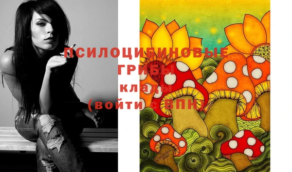 твердый Богородицк