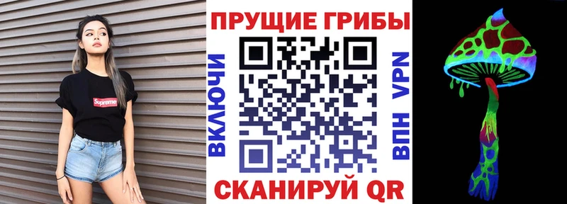 Купить где  Рошаль  Галлюциногенные грибы MAGIC MUSHROOMS 