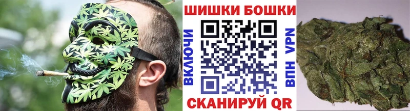 Купить закладки  Рошаль  Бошки марихуана сатива 